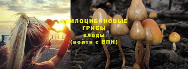 амфетамин Абинск