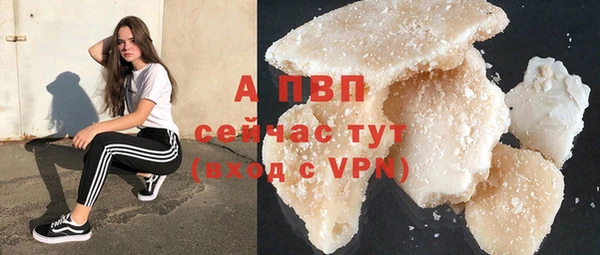 спиды Абаза
